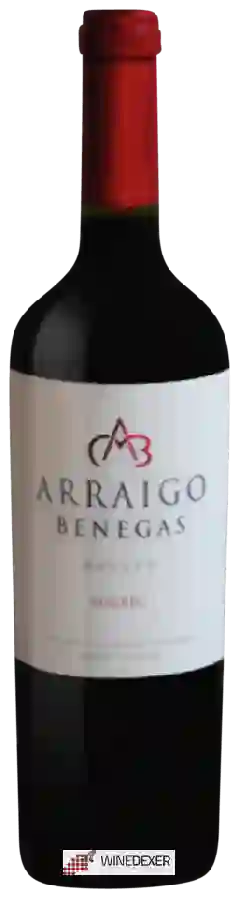 Winery Benegas - Arraigo Benegas Dos Viñedos Malbec Winery Benegas - Arraigo Benegas Dos Viñedos Malbec