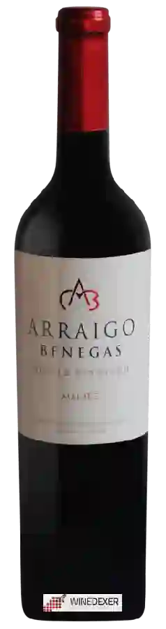 Winery Benegas - Arraigo Benegas Single Vineyard Malbec