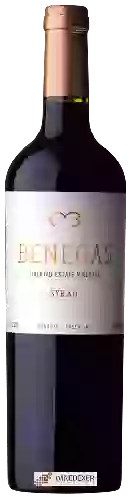 Winery Benegas - Libertad Vineyard (Estate Vineyards) Syrah