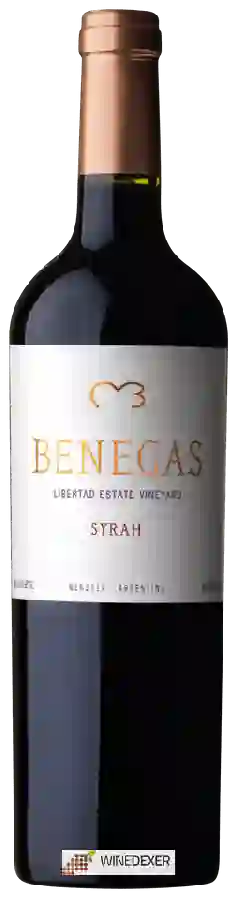 Winery Benegas - Libertad Vineyard (Estate Vineyards) Syrah