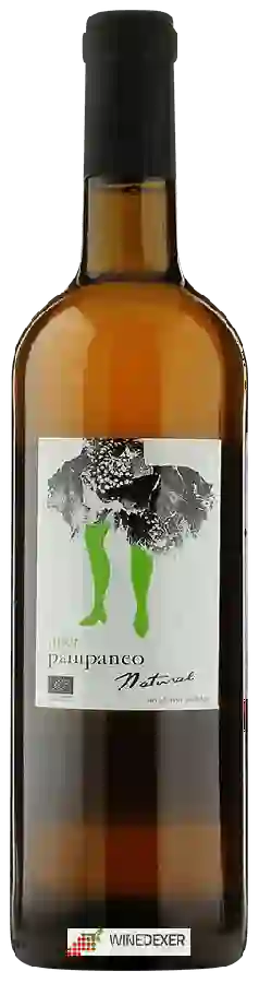 Bodega Bruno Ruiz - Esencia Rural - Pampaneo Airén Natural Bodega Bruno Ruiz - Esencia Rural - Pampaneo Airén Natural