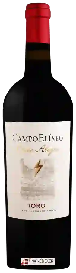 Bodega Campo Eliseo - Cuvée Alegre Tinto