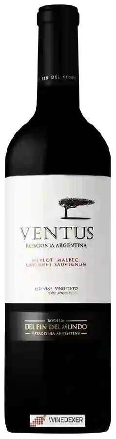 Bodega del Fin del Mundo - Ventus Red Blend