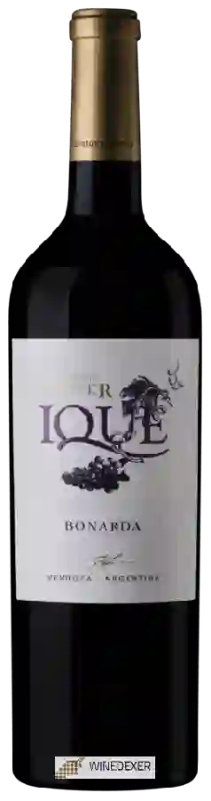 Winery Enrique Foster - Ique Bonarda