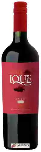 Winery Enrique Foster - Ique Malbec