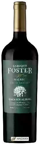 Winery Enrique Foster - Malbec Finca Los Altepes