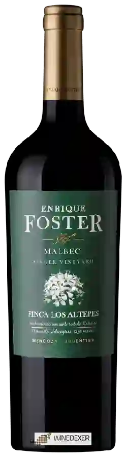 Winery Enrique Foster - Malbec Finca Los Altepes Winery Enrique Foster - Malbec Finca Los Altepes