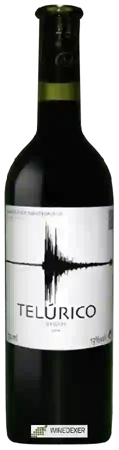 Bodega Finca Fuentegalana - Telúrico Syrah