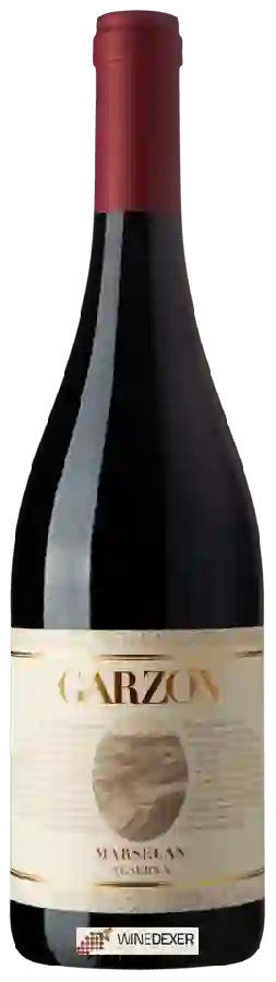 Bodega Garzón - Reserva Marselan Bodega Garzón - Reserva Marselan