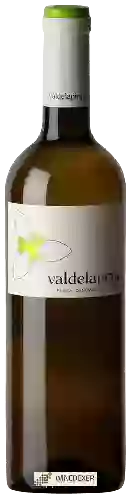 Winery Hnos. del Villar - Valdelapinta Verdejo