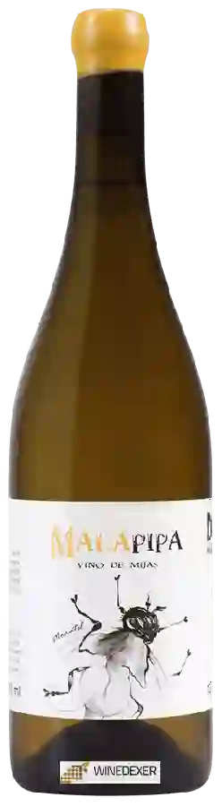 Bodega Malvajio - Malapipa
