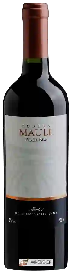 Bodega Maule - Merlot