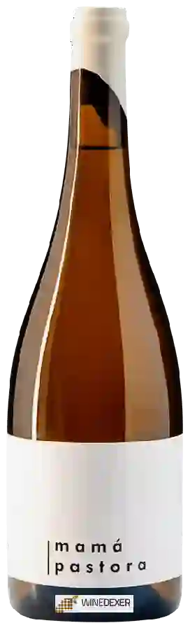 Bodega Miguel Araújo - Mamá Pastora Bodega Miguel Araújo - Mamá Pastora