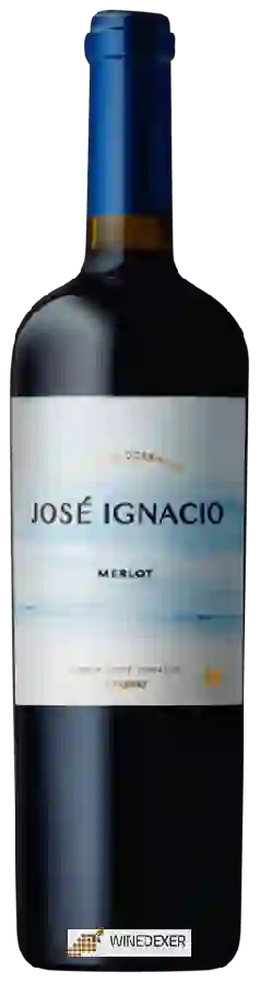 Bodega Oceánica José Ignacio - Merlot Bodega Oceánica José Ignacio - Merlot