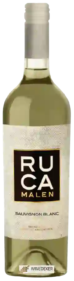 Winery Ruca Malen - Sauvignon Blanc Winery Ruca Malen - Sauvignon Blanc