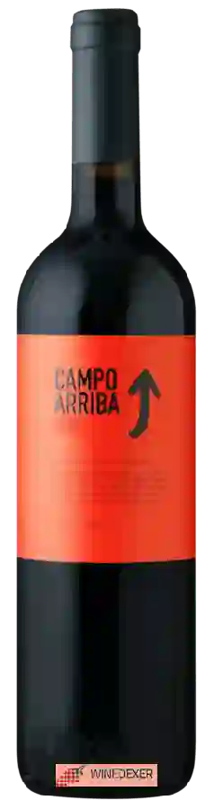 Winery Barahonda - Campo Arriba