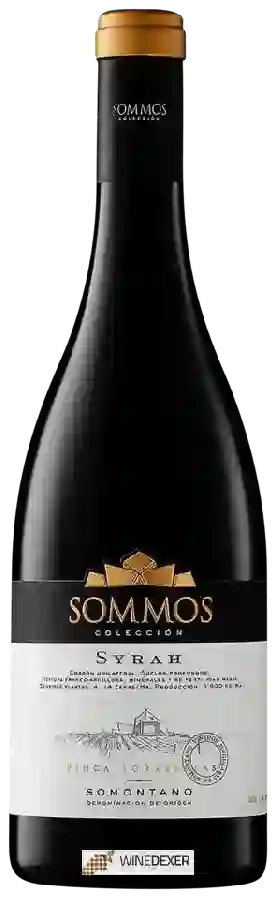 Bodega Sommos - Colección Syrah Bodega Sommos - Colección Syrah