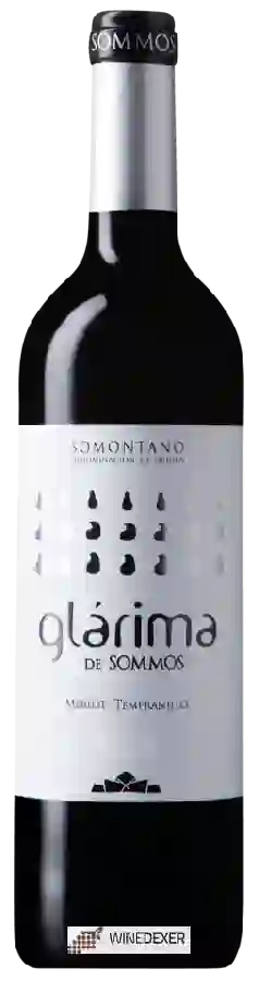Bodega Sommos - Glárima Merlot - Tempranillo Bodega Sommos - Glárima Merlot - Tempranillo