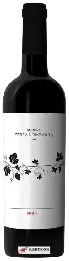 Bodega Terra Lombarda - Bonarda
