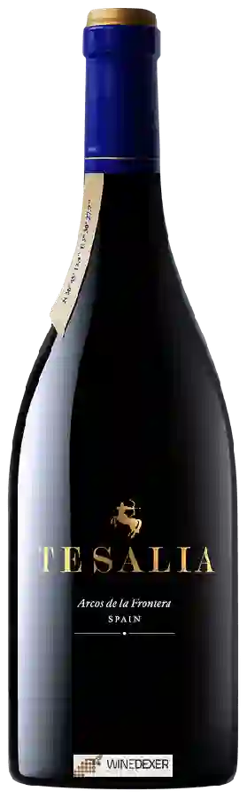 Bodega Tesalia - Arcos de la Frontera