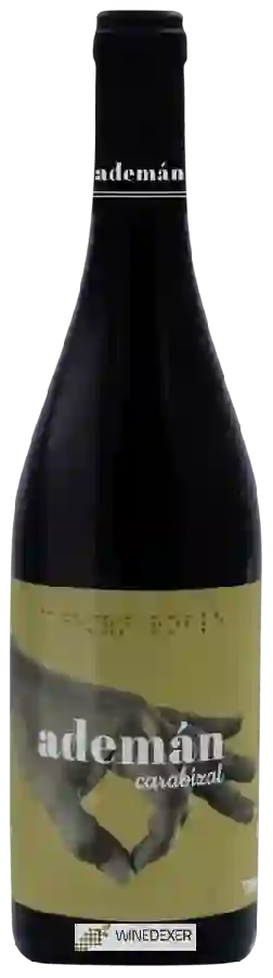 Bodega y Viñedos Maires - Ademán Carabizal