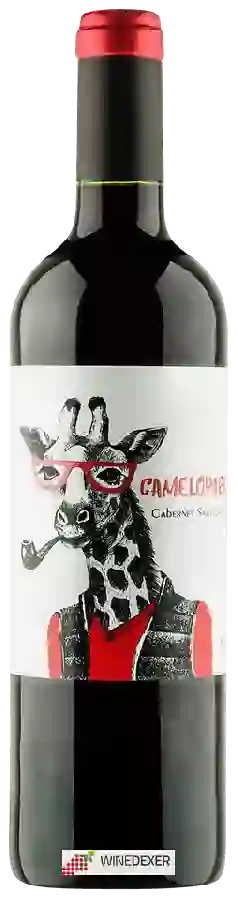 Bodegas Albero - Camelopard Cabernet Sauvignon