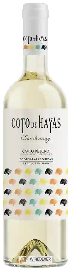 Bodegas Aragonesas - Coto de Hayas Chardonnay