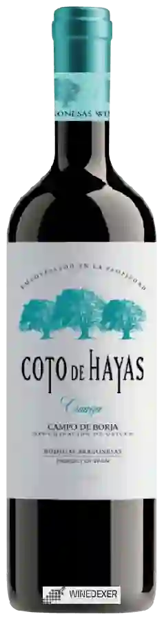 Bodegas Aragonesas - Coto De Hayas Crianza