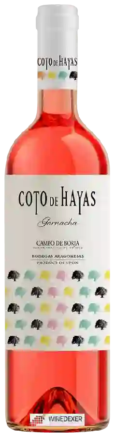 Bodegas Aragonesas - Coto de Hayas Garnacha Rosado