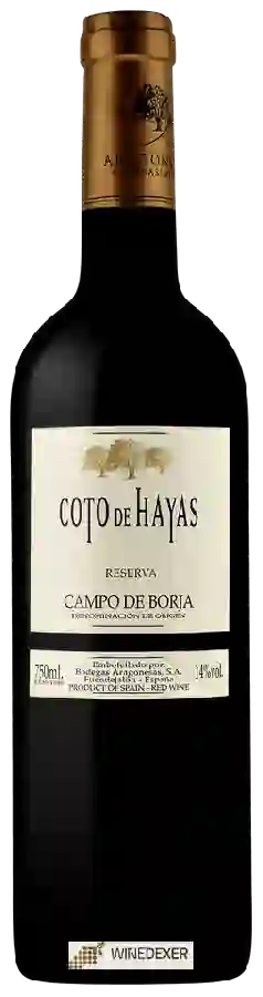 Bodegas Aragonesas - Coto de Hayas Reserva