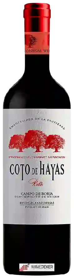 Bodegas Aragonesas - Coto de Hayas Tempranillo - Cabernet Sauvignon Roble