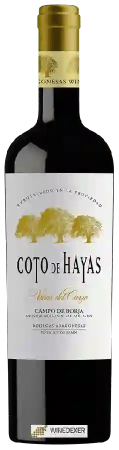 Bodegas Aragonesas - Coto de Hayas Viñas del Cierzo