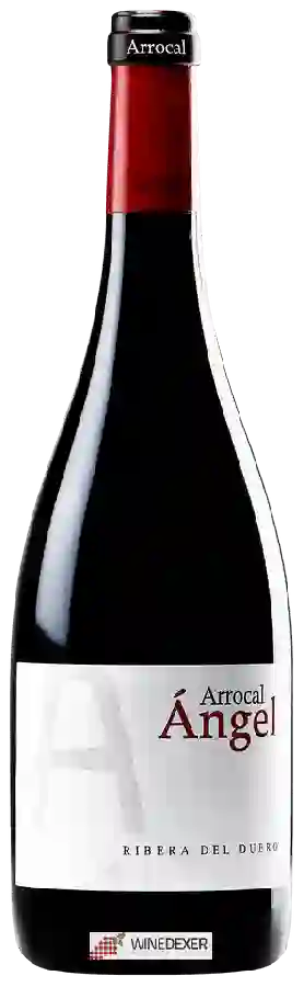 Bodegas Arrocal - Ángel Ribera del Duero