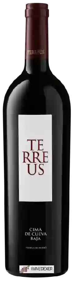 Bodegas Baynos - Terreus Paraje de Cueva Baja