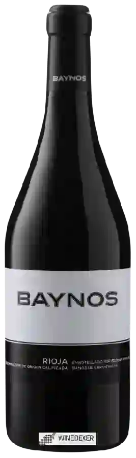 Bodegas Baynos - Tinto