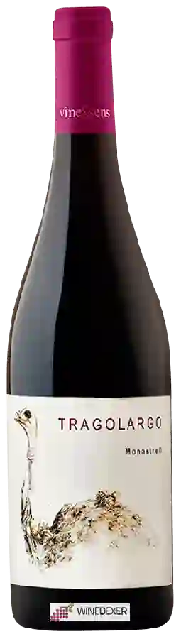 Bodegas Bernabé Navarro - Tragolargo Bodegas Bernabé Navarro - Tragolargo