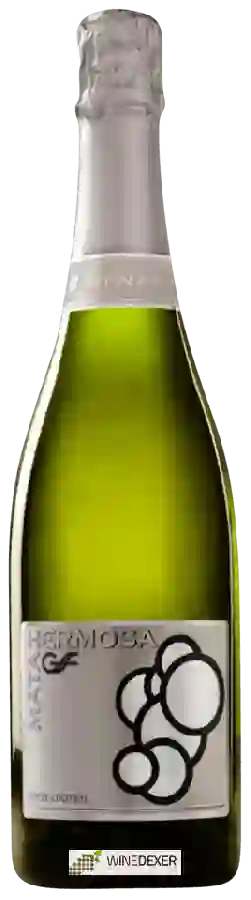 Bodegas Campoameno - Matahermosa Brut Nature