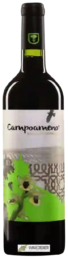 Bodegas Campoameno - Syrah Barrica