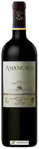 Winery Caro (Catena and Rothschild) - Amancaya Malbec - Cabernet Sauvignon