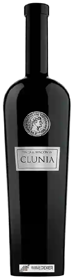Bodegas Clunia - Finca El Rincón de Clunia