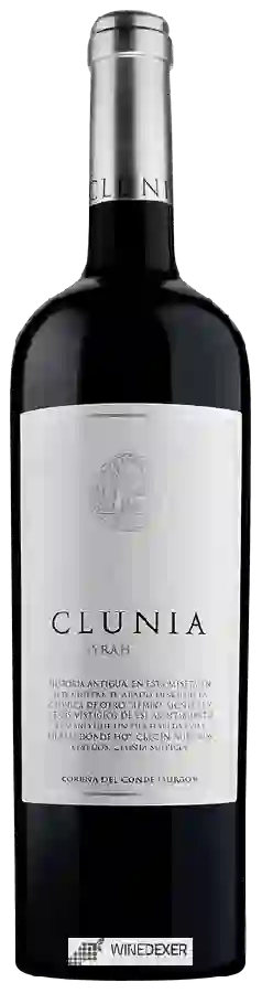 Bodegas Clunia - Syrah