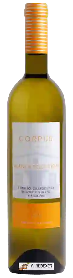 Bodegas del Muni - Corpus del Muni Vendimia Blanca Selección