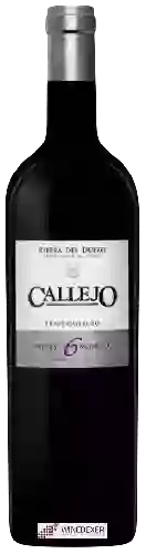 Winery Callejo - Viña Pilar Crianza