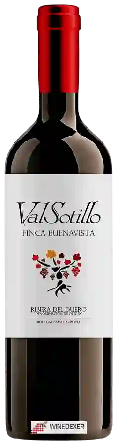 Bodegas Ismael Arroyo - Valsotillo Finca Buenavista Bodegas Ismael Arroyo - Valsotillo Finca Buenavista