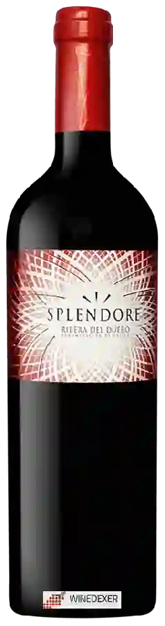 Winery Casajus - Splendore Ribera del Duero