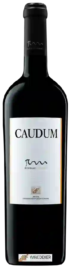 Bodegas Larraz - Caudum