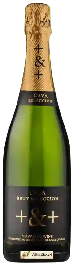 Winery Pinord - + & + Cava Brut Seleccion Sparkling