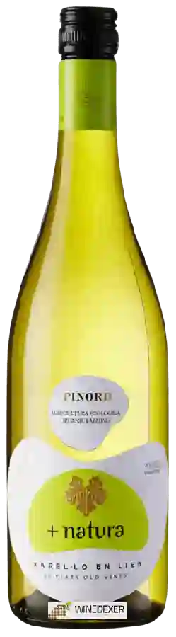 Winery Pinord - + Natura Ecologica Xarel-lo en Lies Winery Pinord - + Natura Ecologica Xarel-lo en Lies