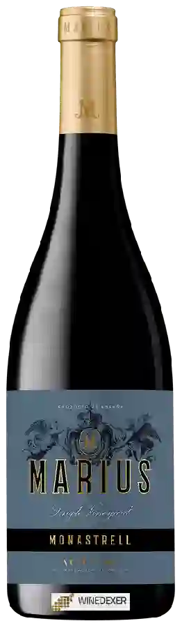 Bodegas Piqueras - Marius Single Vineyard Monastrell Bodegas Piqueras - Marius Single Vineyard Monastrell