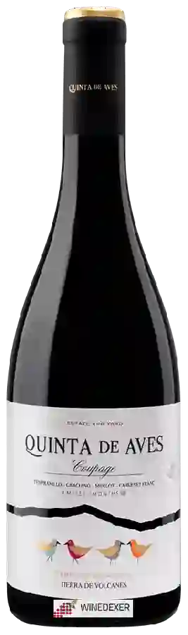 Bodegas Quinta de Aves - Coupage